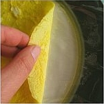 Lunch in a Box Microwave Egg Sheet.jpg